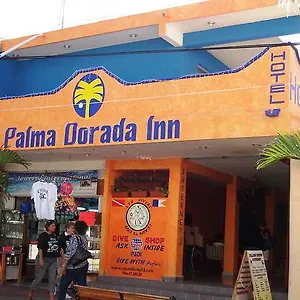 2* Hotel Palma Dorada